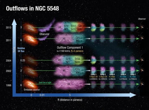 This is an illustration of the physical, spatial and temporal picture for the outflows emanating from the vicinity of the super massive black hole in the galaxy NGC 5548. The behavior of the emission source in five epochs is shown along the time axis. The obscurer is situated at roughly 0.03 light years (0.01 parsecs) from the emission source and is only seen in 2011 and 2013 (it is much stronger in 2013). Outflow component 1 shows the most dramatic changes in its absorption troughs. Different observed ionic species are represented as colored zones within the absorbers. Credit: Ann Feild/Space Telescope Science Institute