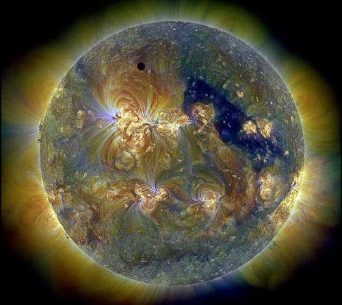 Venus can be seen as a black dot eclipsing the Sun in this image from 2012. Venus orbits too close to the Sun to the planet to be habitable for life as we know it. Venus experiences a runaway greenhouse and the average surface temperatures are thought to be around 864ºF. (Credit: NASA/SDO & the AIA, EVE, and HMI teams; Digital Composition: Peter L. Dove) 