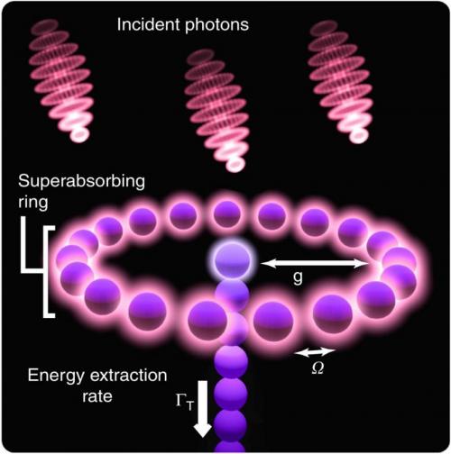 In one potential method to realize superabsorption, a superabsorbing ring absorbs incident photons, giving rise to excitons. (Credit: Higgins, et al.)